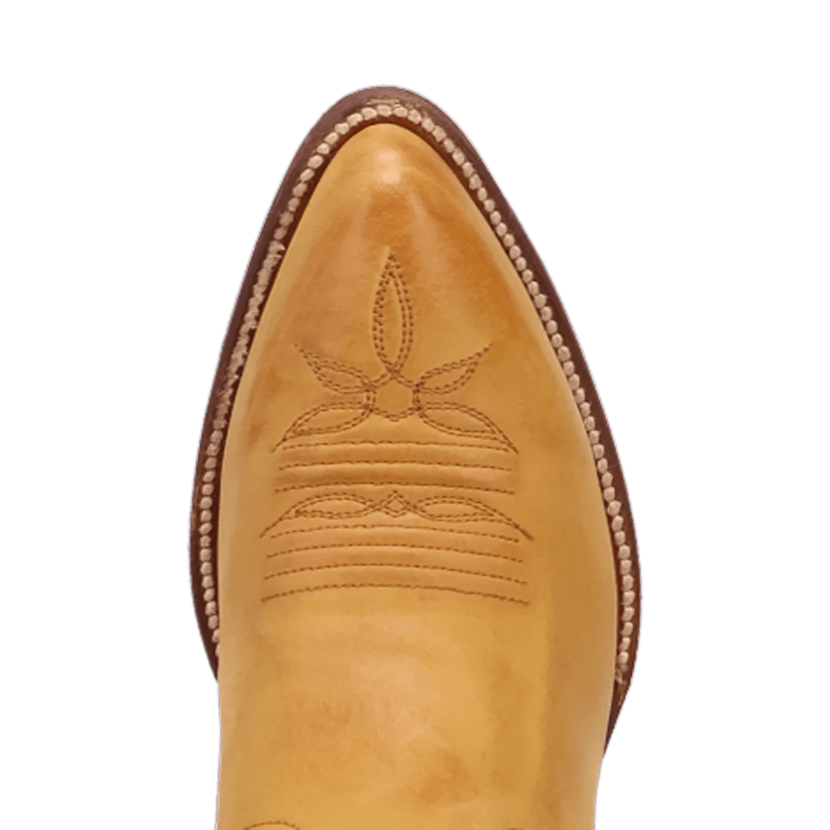 Dan Post Women's Sunrise Canyon Boot in Mustard