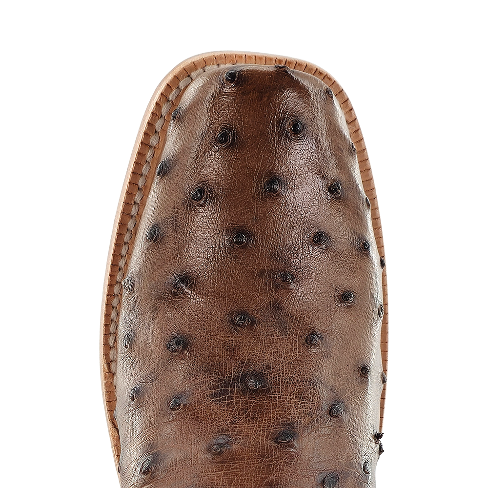 R. Watson Women's Full Quill Ostrich Triad Cutter Toe Western Boot