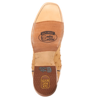 Dan Post Men's Brady Fully Quill Ostrich in Tan
