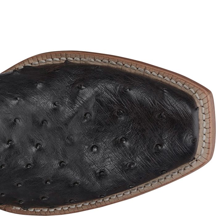 Tony Lama Men's Rylen Full Quill Ostrich Boot in Black