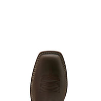 Ariat Men's Activator VentTek Waterproof Steel Toe Boot in Dark Brown