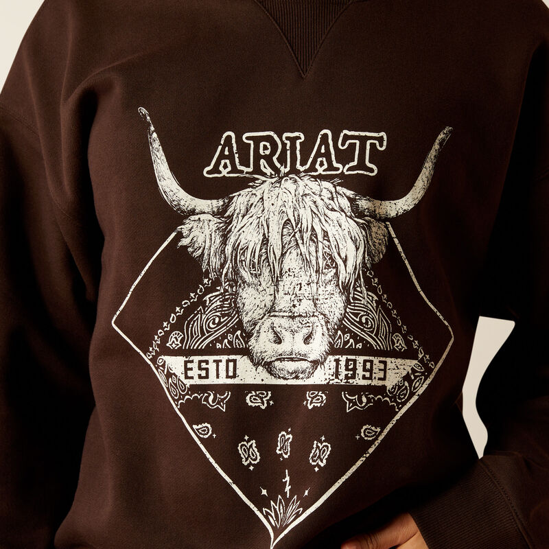 Ariat Women's Taurus Oversized Crew Sweatshirt in Mole Brown (Available in Plus Sizes)