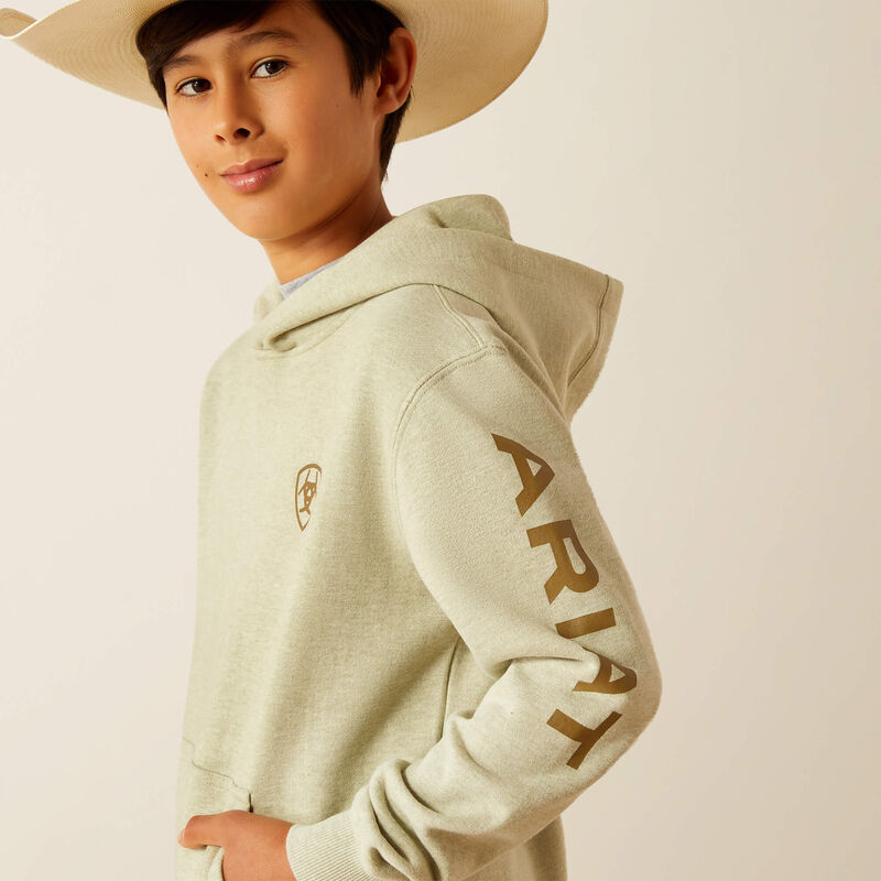 Ariat Youth Boy's Logo Hoodie in Sage Heather