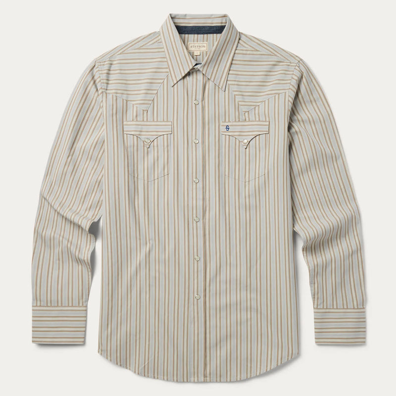 Stetson Men's Ticking Stripe Western Snap Shirt in Brown