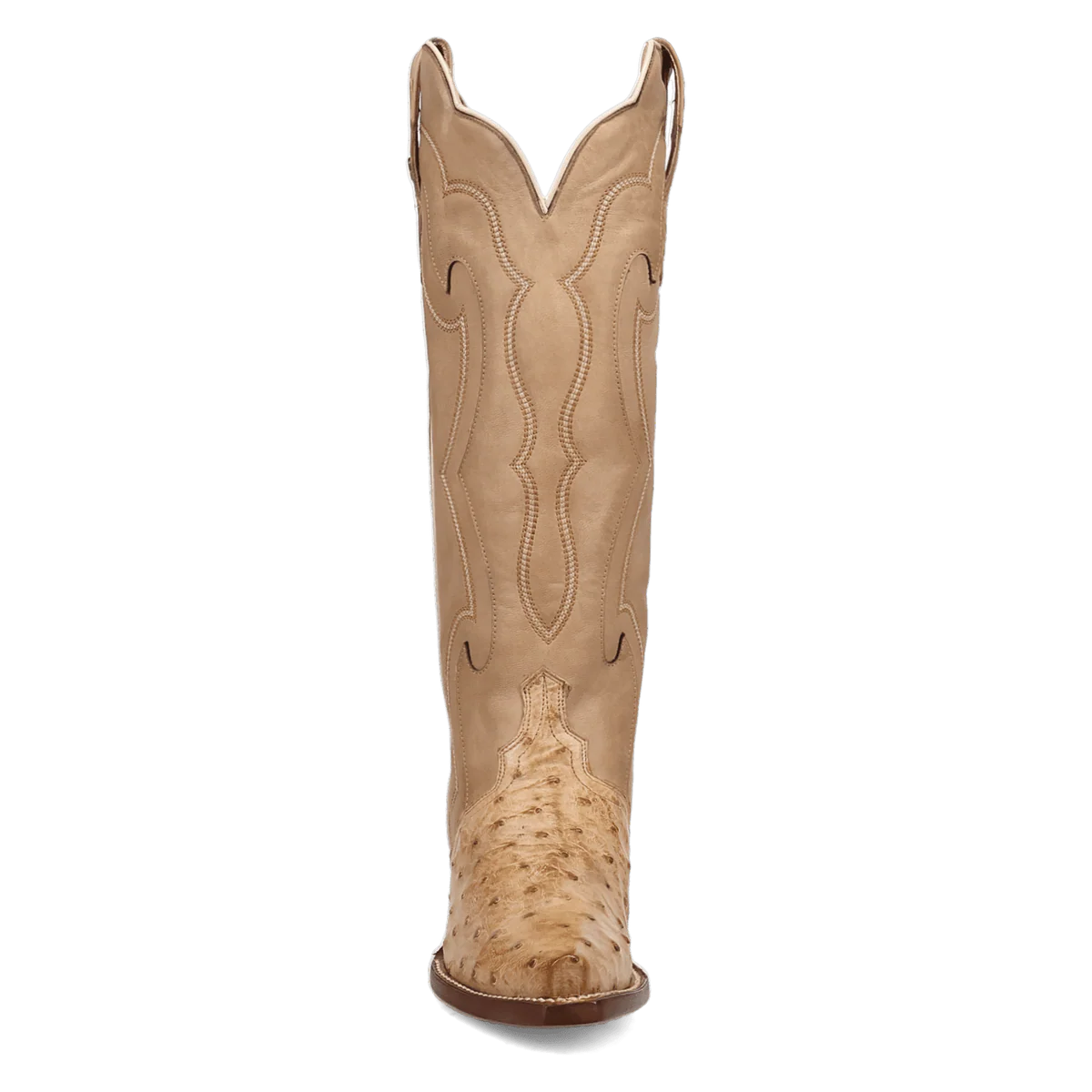 Dan Post Women's Maravilla Boot in Tan