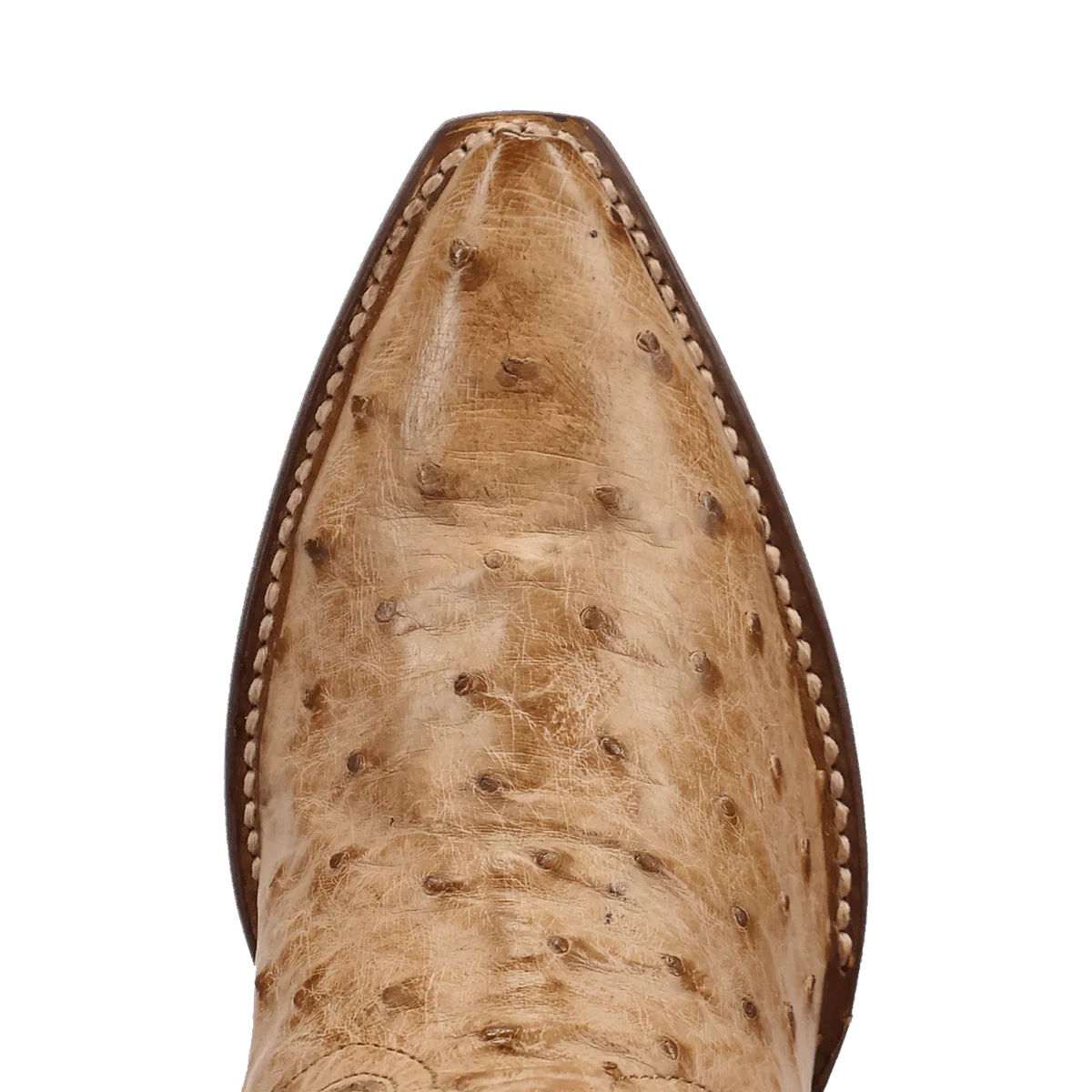 Dan Post Women's Maravilla Boot in Tan