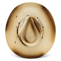 Charlie 1 Horse x Lainey Wilson Good Horses Straw Hat
