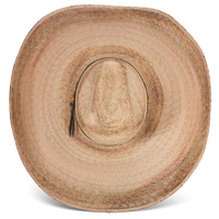 Charlie 1 Horse Coyote Palm Leaf Hat