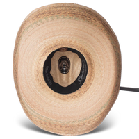 Charlie 1 Horse Coyote Palm Leaf Hat