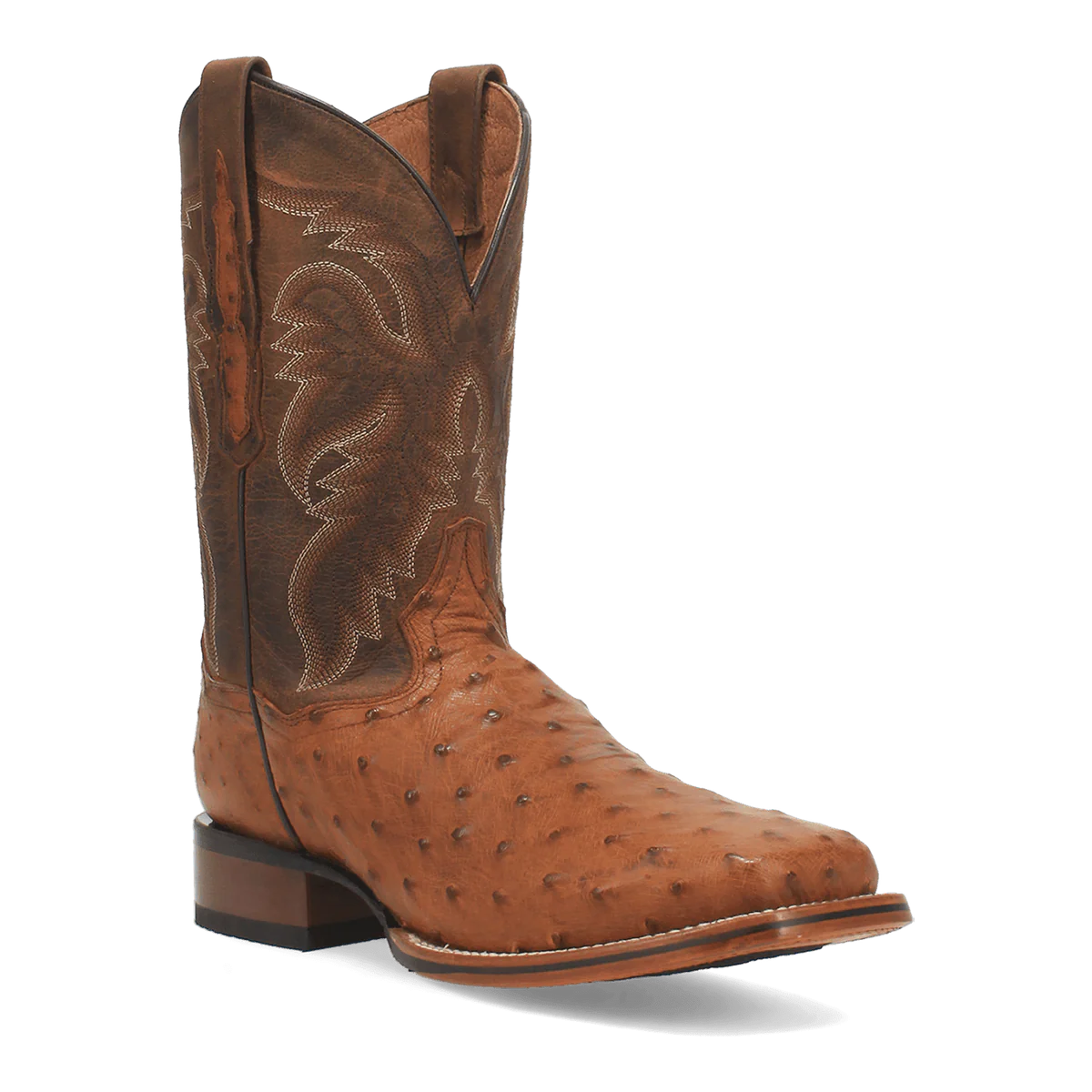 Dan Post Men's Alamosa Full Quill Ostrich Boot
