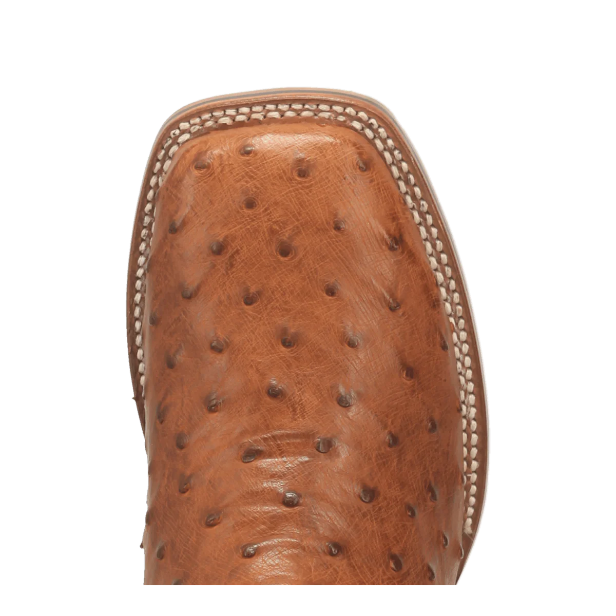 Dan Post Men's Alamosa Full Quill Ostrich Boot