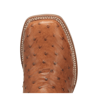 Dan Post Men's Alamosa Full Quill Ostrich Boot