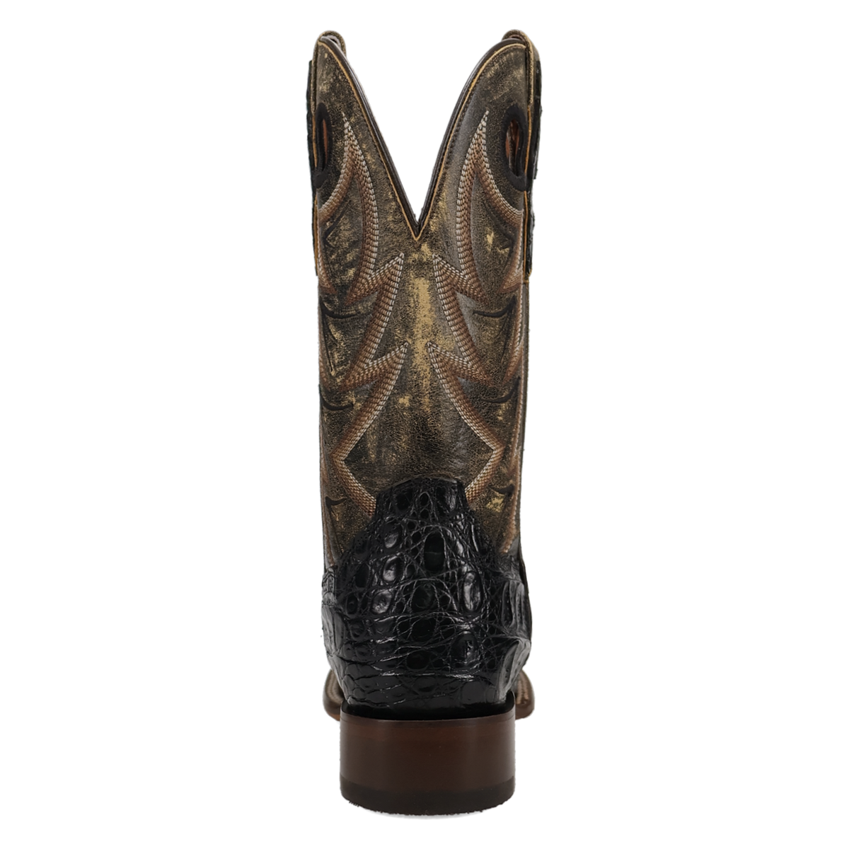 Dan Post Men's Marsh Caiman Boot in Black