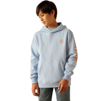 Ariat Youth Boy's Logo Hoodie in Light Blue Heather