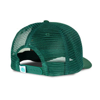 Sendero Provisions Co. Rowdy Snapback Hat in Green