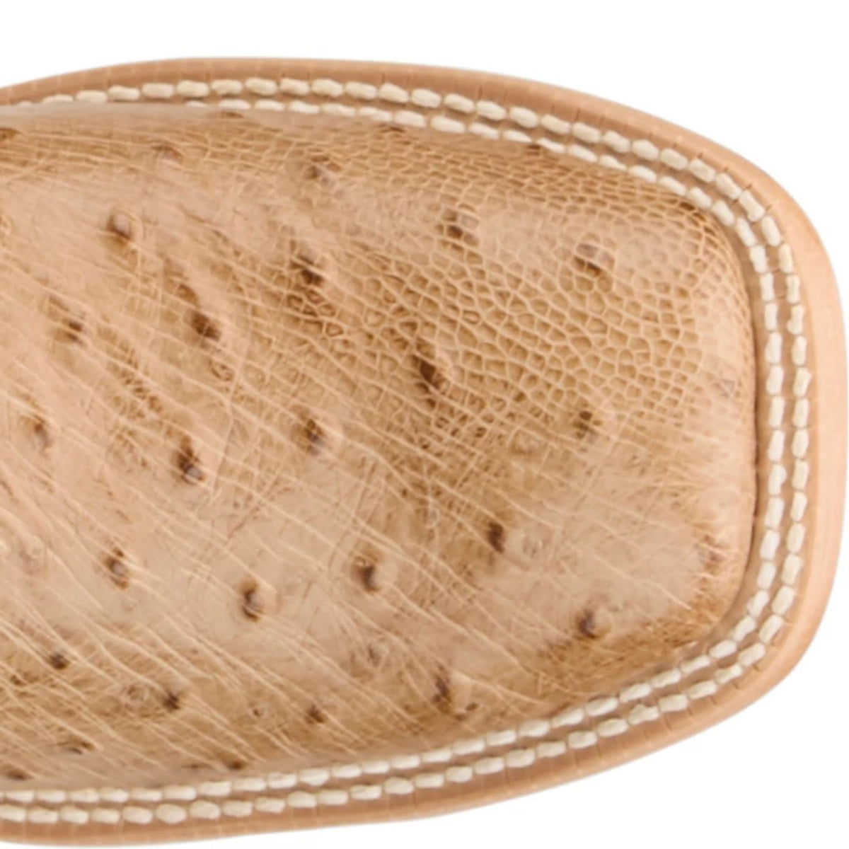 Tony Lama Women's Cheyenne Ostrich Western Boot in Tan